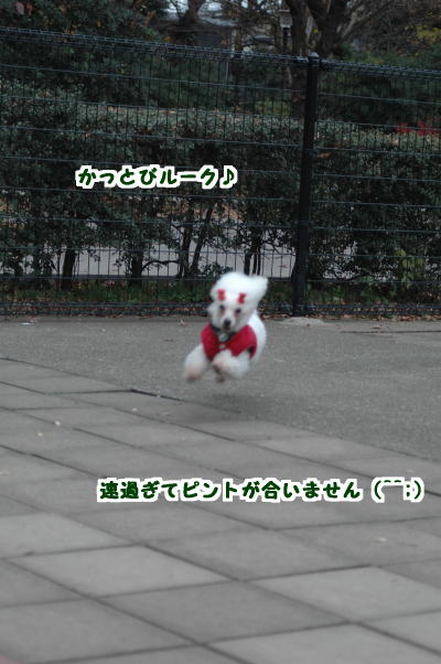 051211-1.jpg