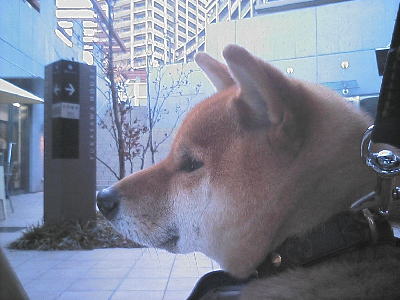 051225-2.jpg