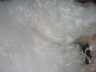 051228-1.jpg