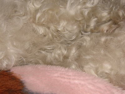 051228-2.jpg