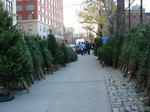 061206-1.jpg