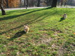 061206-4.jpg