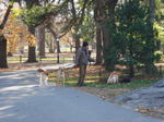 061206-61.jpg