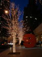 061225-2.jpg
