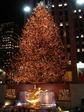 061225-7.jpg