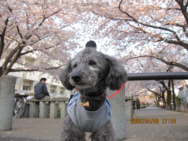 090409-1.jpg