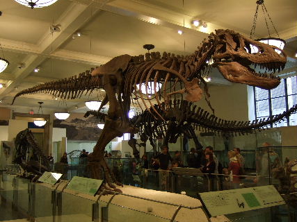 091110-1.JPG