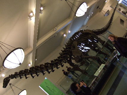 091110.JPG