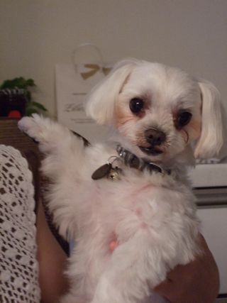 100730−4.jpg