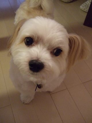 100730−5.jpg
