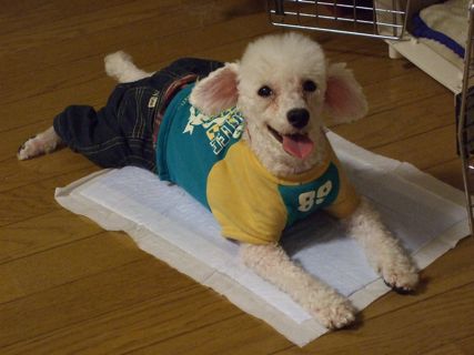 100803−1.jpg