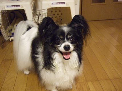 100804−1.jpg