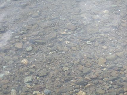 100818-10.jpg