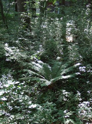 100818-2.jpg