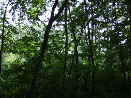 100818-3.jpg
