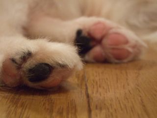 100916−2.jpg
