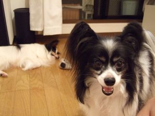100918−1.jpg