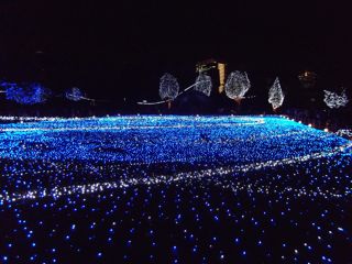 101220-3.jpg