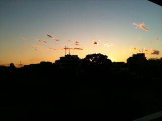 110117-2.jpg