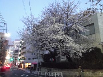 110408-2.jpg