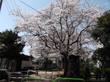 110412-4.jpg
