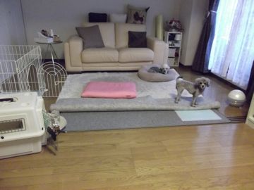 110504-1.jpg