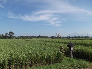 110529-3.jpg