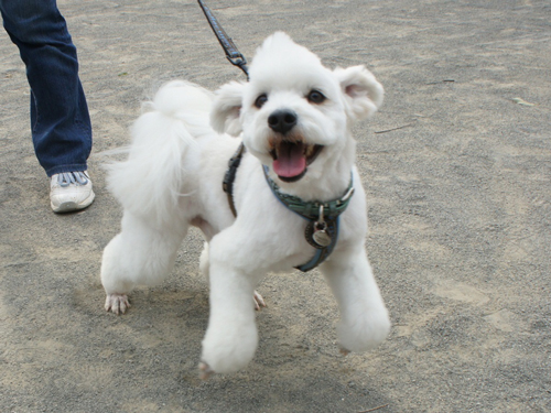 201204-2.jpg
