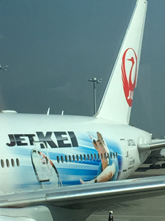 AAA817DD-2351-4737-A1F7-4569C4429AFA.jpg