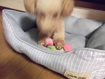DSCF1062.jpg