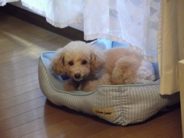 DSCF1065.jpg
