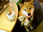 DSCF2501.jpg
