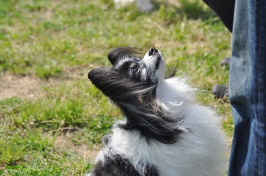 DSC_0141.jpg