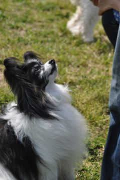 DSC_0144.jpg