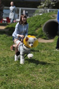 DSC_0174.jpg