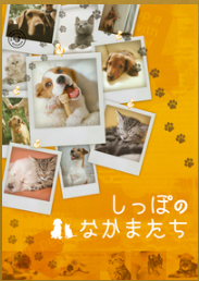 スクリーンショット 2013-04-15 15.53.26.png