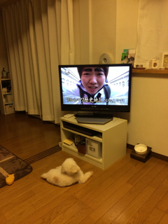 EC805B55-AC8D-44A8-A994-9FF87817D3BC.jpg