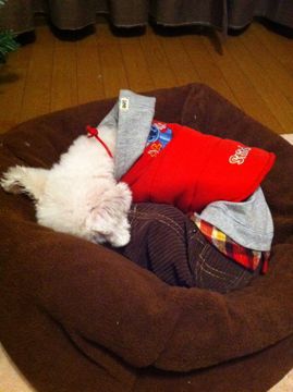 IMG_0028.jpg