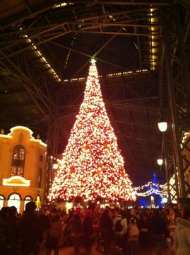 IMG_0049.jpg