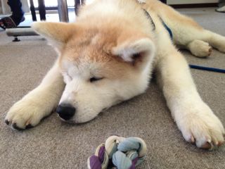 IMG_0782.jpg