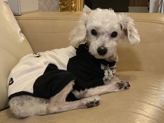 IMG_0826.jpeg