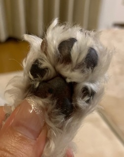 IMG_0901.jpeg