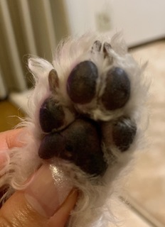 IMG_0902.jpeg