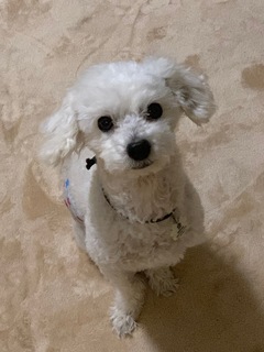 IMG_0906.jpeg