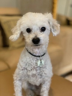 IMG_0934.jpeg