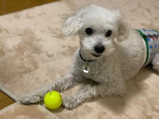 IMG_0939.jpeg