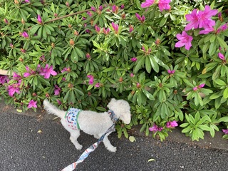 IMG_0958.jpeg