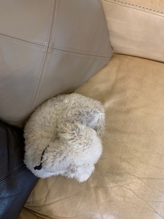 IMG_0960.jpeg