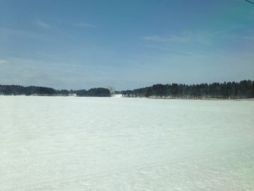 IMG_0964.jpg