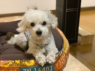 IMG_0970.jpeg